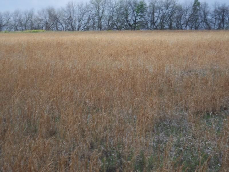 400 & Scott Rd, Prescott, KS 66767