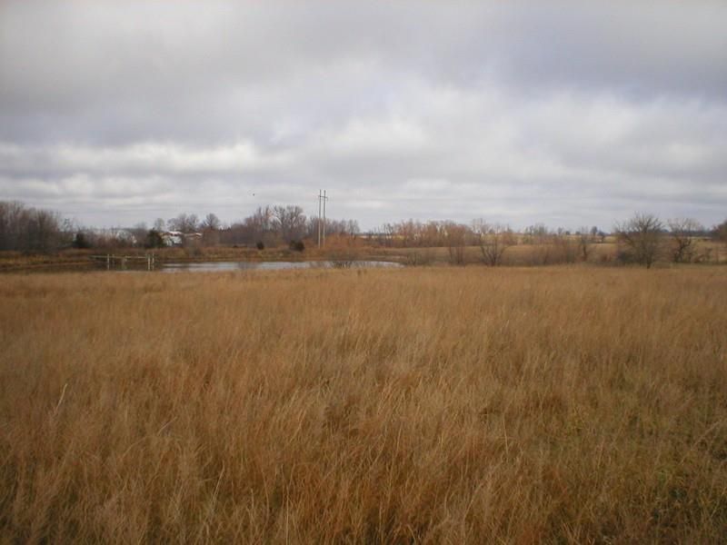 3035 E 500 Rd, El Dorado Springs, MO 64744