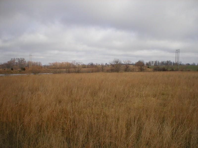 3035 E 500 Rd, El Dorado Springs, MO 64744