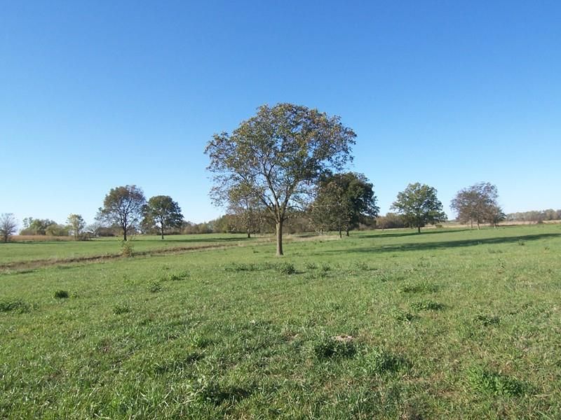 County Rd 1077, Rich Hill, MO 64779