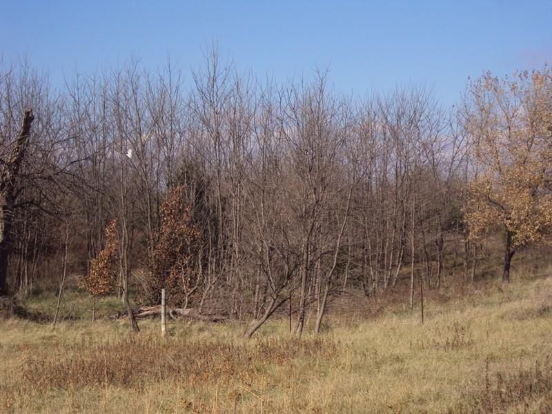 1352 215th, Fort Scott, KS 66701