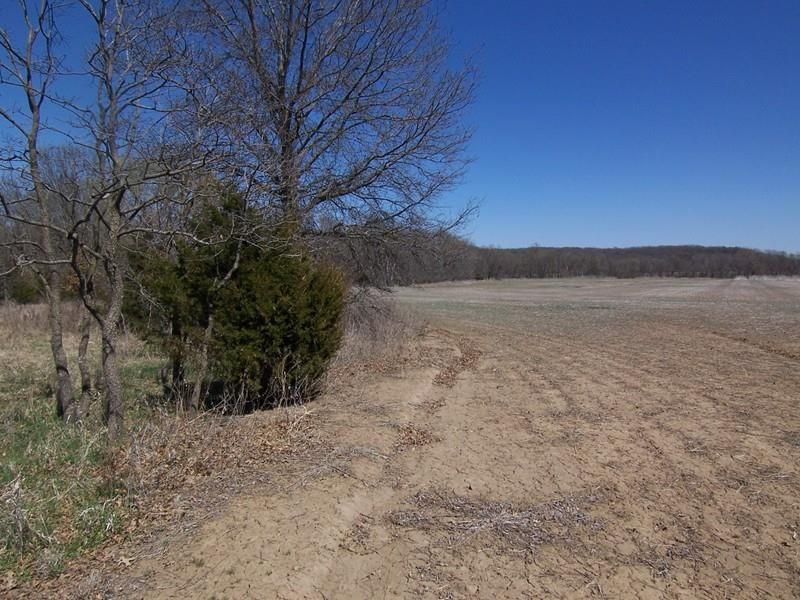 Olinger Rd, Mound City, KS 66056