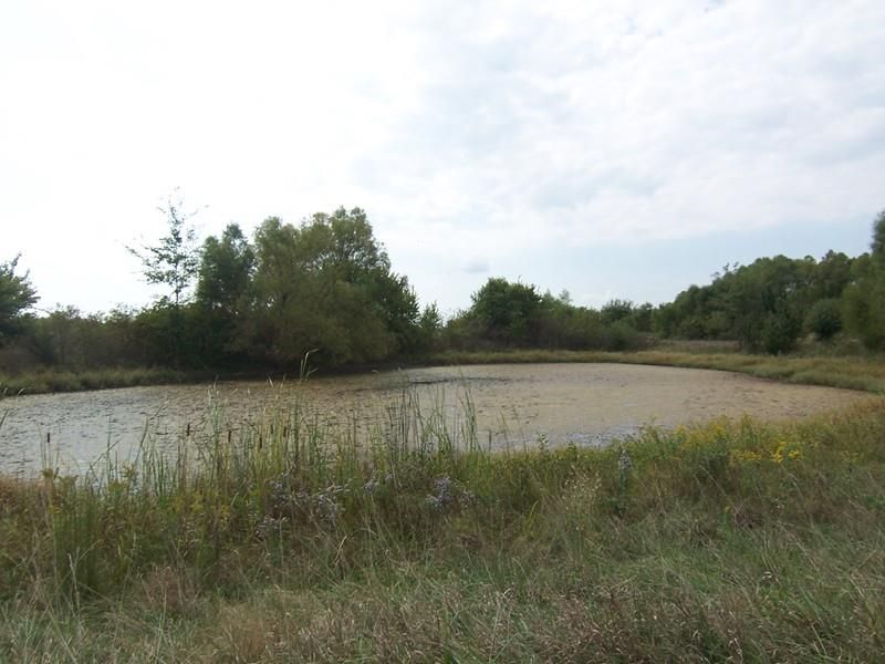900 & Arthur Rd, Blue Mound, KS 66010