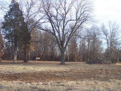 TBD State Road W, Iantha, MO 64759