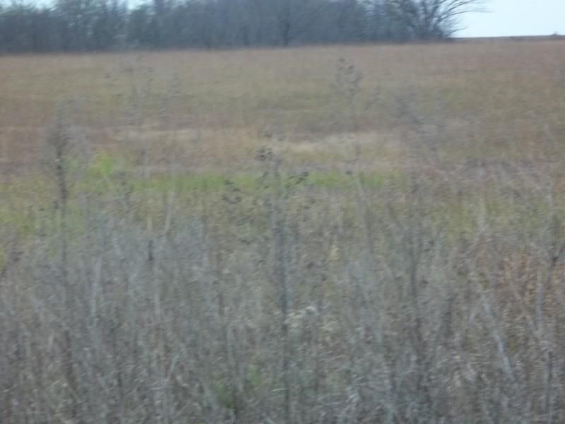225th & Tomahawk, Hammond, KS 66701