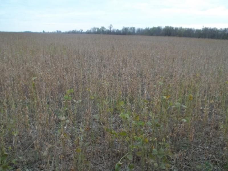 225th & Tomahawk, Hammond, KS 66701