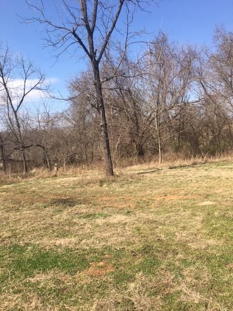 821 Dade 191, Greenfield, MO 65661