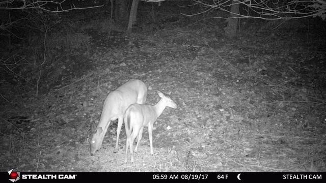 Hwy 54, Osceola, MO 64776