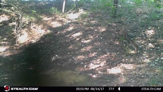 Hwy 54, Osceola, MO 64776