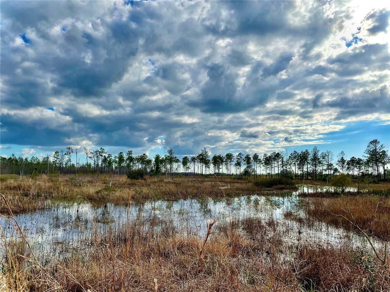 19858 State Road 52, Land O Lakes, FL 34637