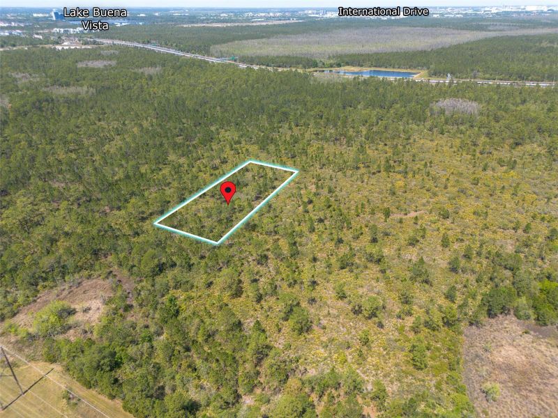 Sr 535, Orlando, FL 32821