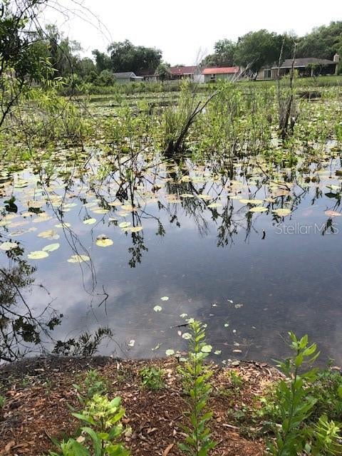 Carver, New Port Richey, FL 34654