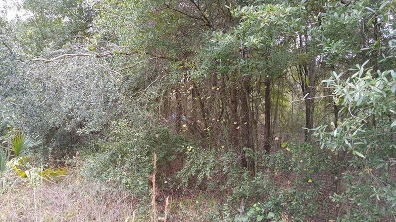 Rolling Meadow, Land O Lakes, FL 34639