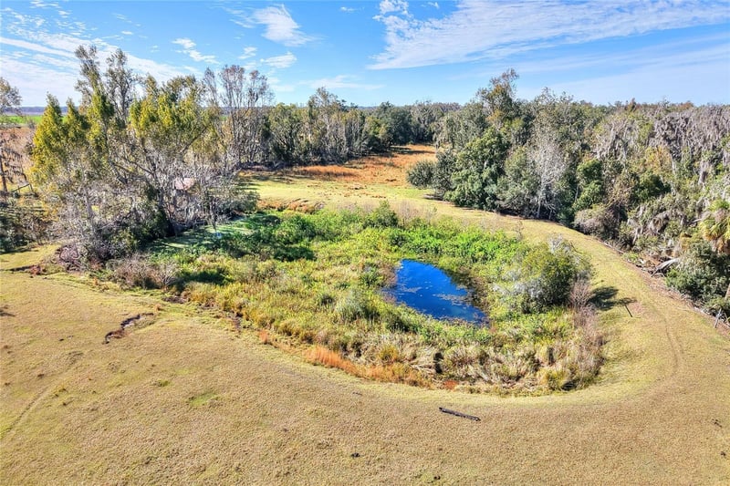 Colding Loop, Wimauma, FL 33598