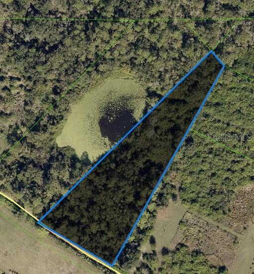 17330 Sorona Rd, Wimauma, FL 33598