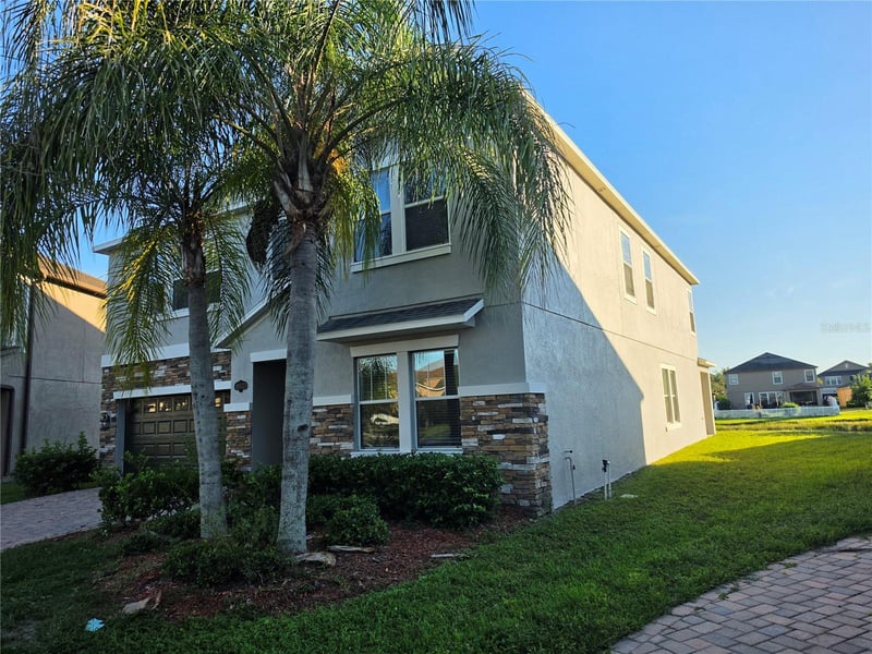 19417 Paddock View Dr, Tampa, FL 33647