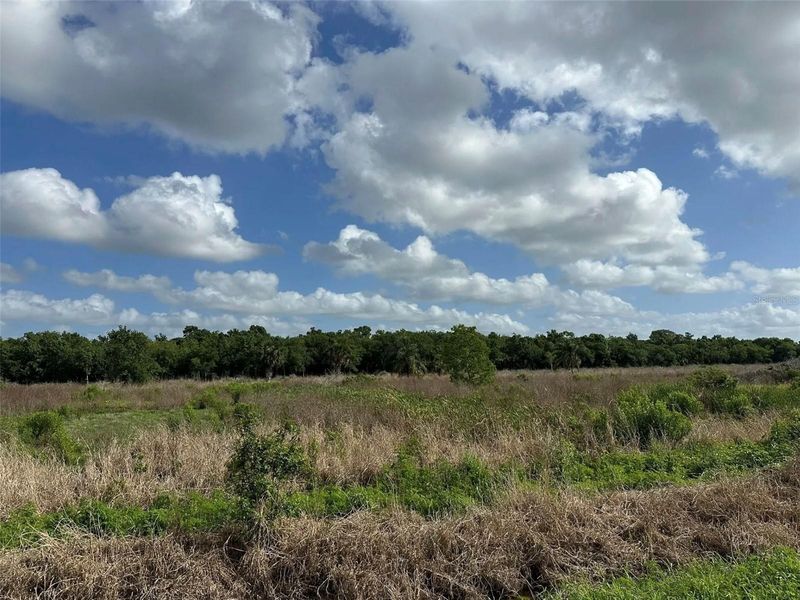 Howard Ave, Oviedo, FL 32765