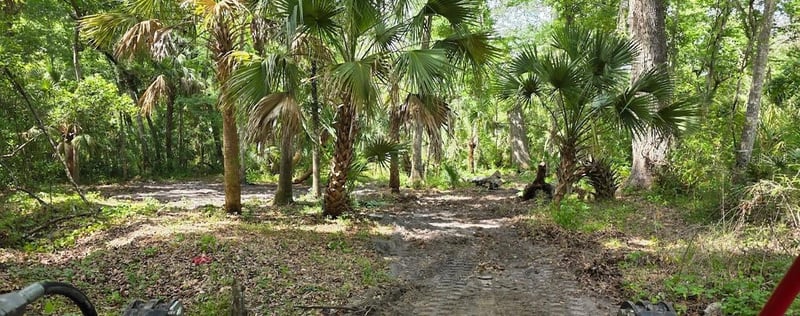 0 Paul S Buchman Hw, Zephyrhills, FL 33540