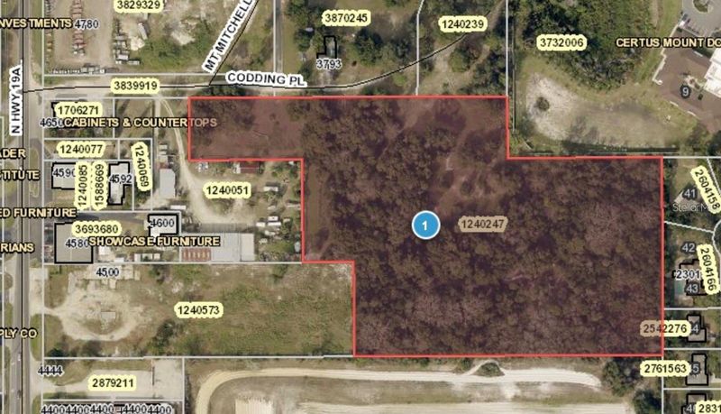 Codding Pl, Mount Dora, FL 32757
