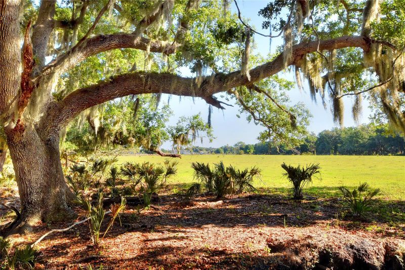 18100 Dorman Rd, Lithia, FL 33547