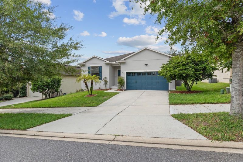 30115 Cheval St, Mount Dora, FL 32757