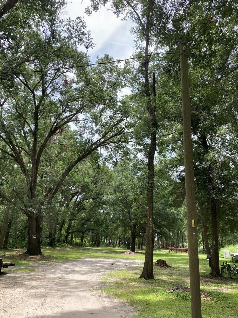E Pine Ave, Mount Dora, FL 32757