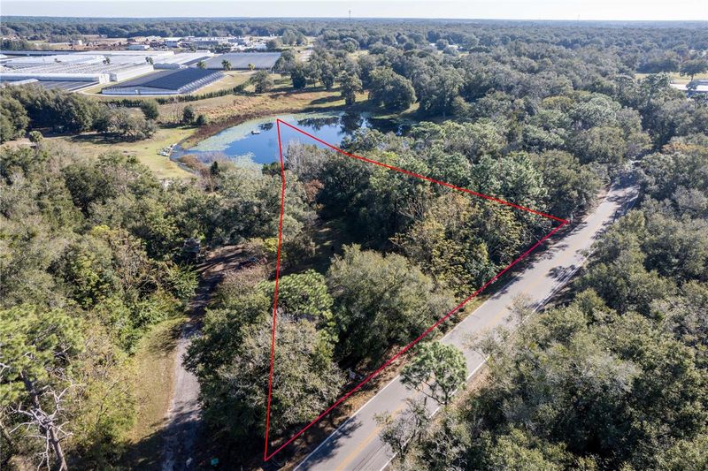 6311 Sadler Rd, Mount Dora, FL 32757