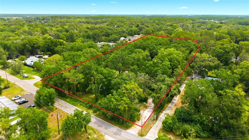 1444 Chesapeake Dr, Odessa, FL 33556