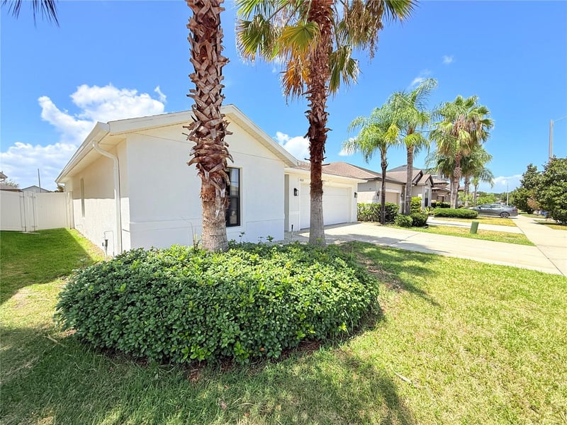 14323 Haddon Mist Dr, Wimauma, FL 33598