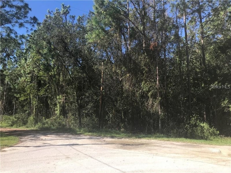 7341 Westpoint Dr, Wesley Chapel, FL 33544