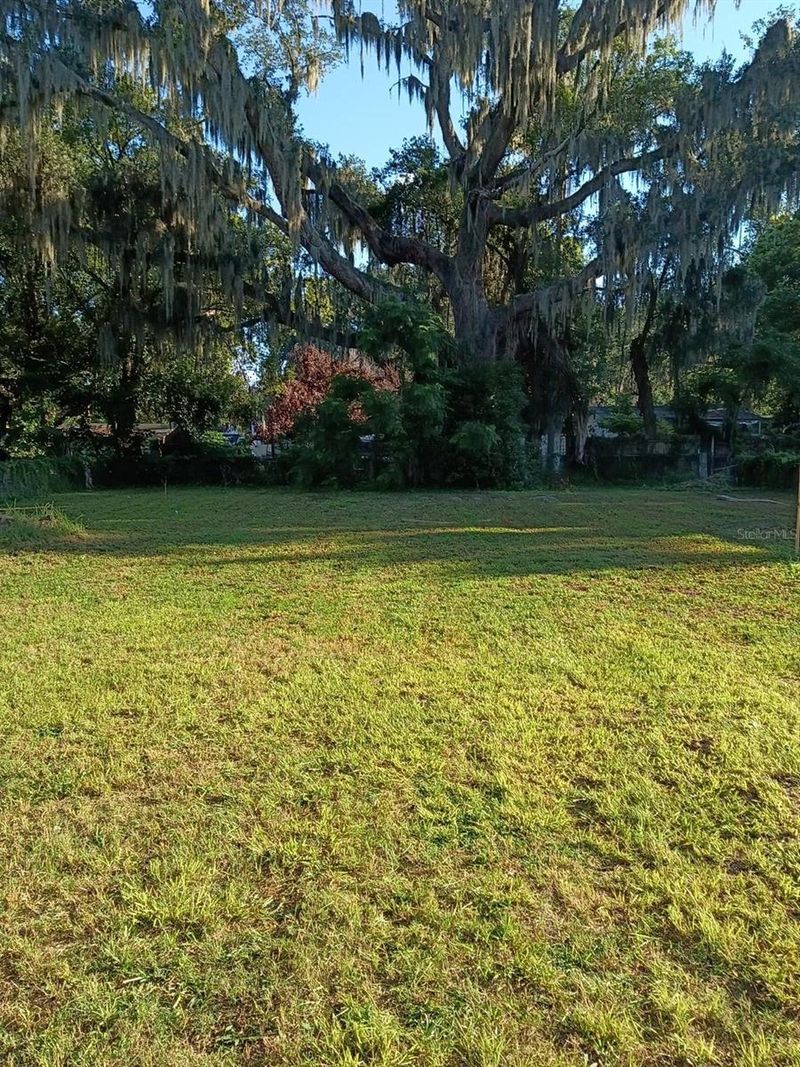 Orlando, FL 32839