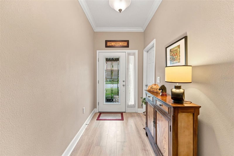 8738 Terracina Lake Dr, Tampa, FL 33625