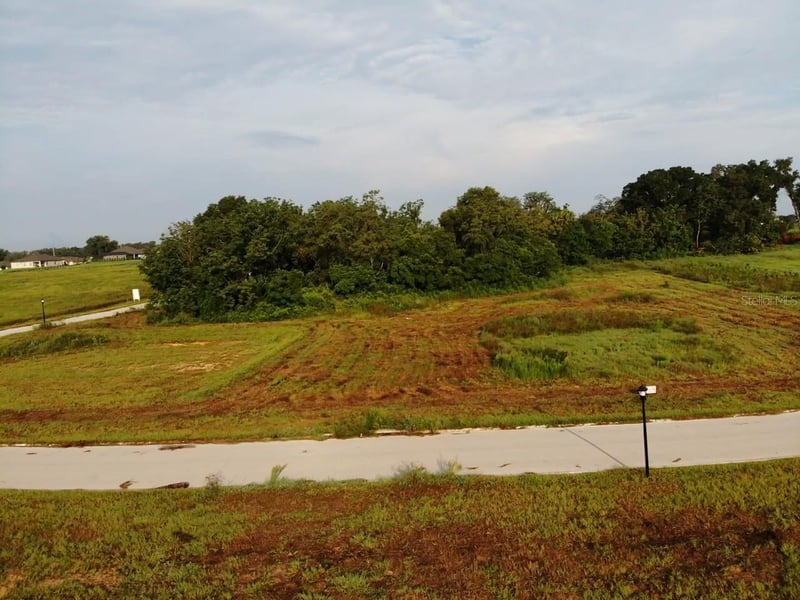 White Egret Dr, Thonotosassa, FL 33592