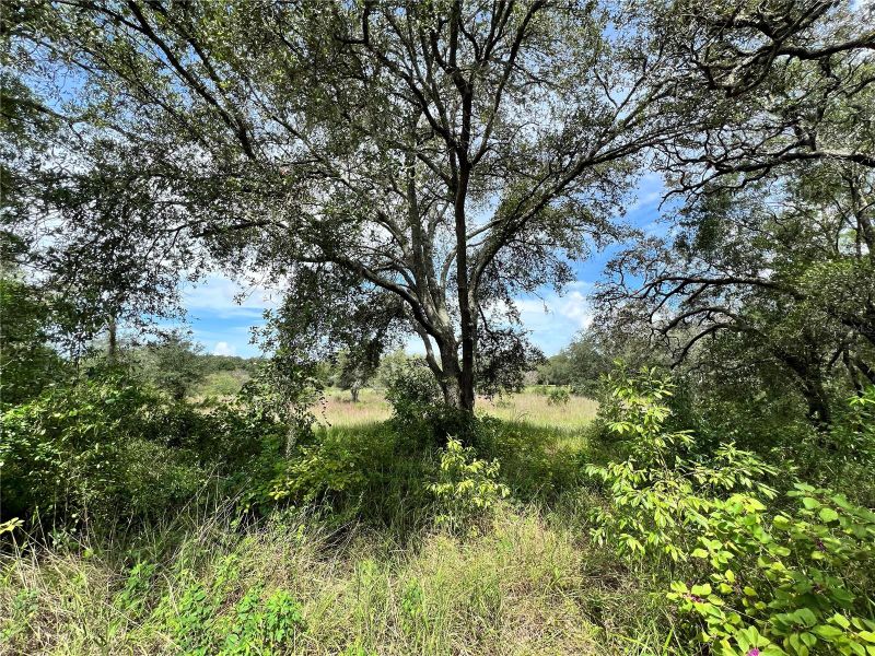 13339 Vivian Ln, Hudson, FL 34669
