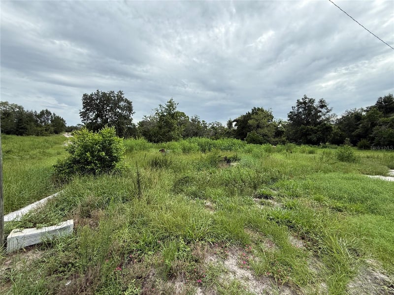 Spring Hill, FL 34610