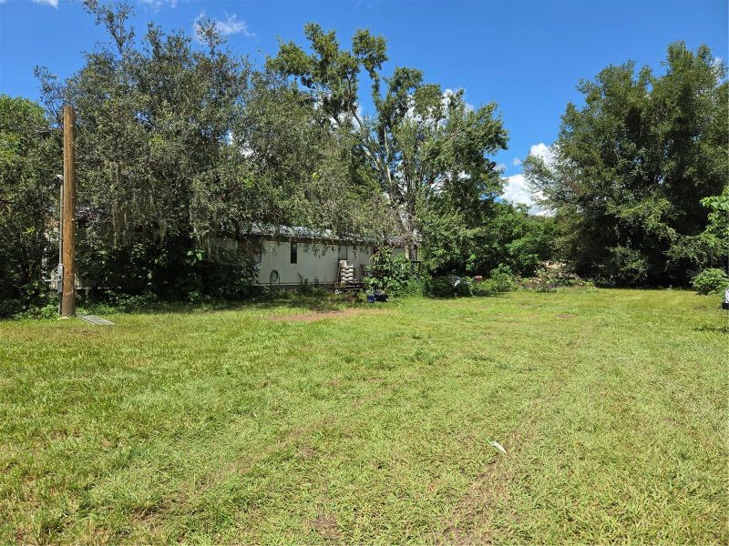 33349 Arthur Dr, Wesley Chapel, FL 33543