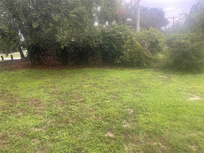 33855 Mandrake Rd, Wesley Chapel, FL 33543