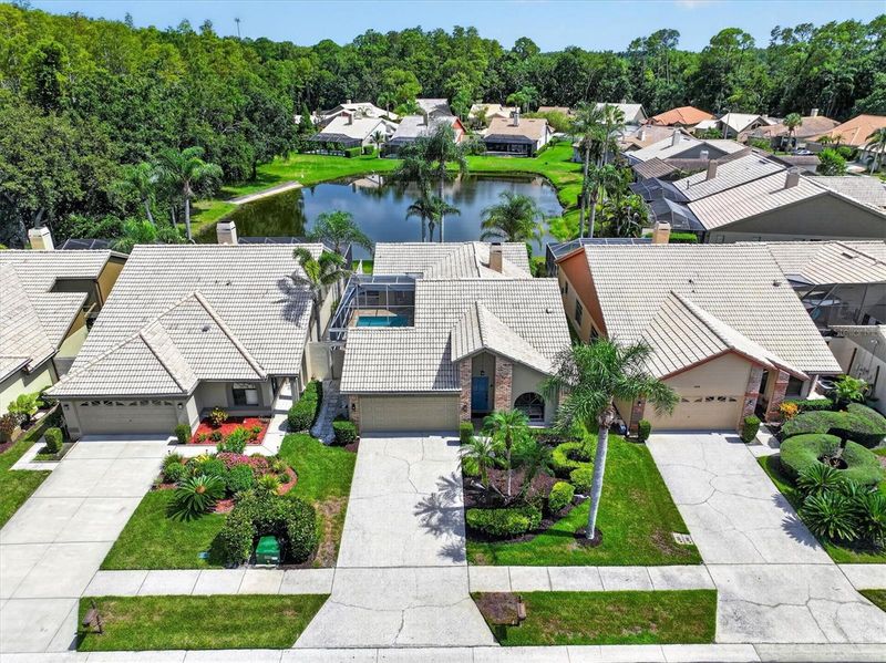 5466 Greyston St, Palm Harbor, FL 34685