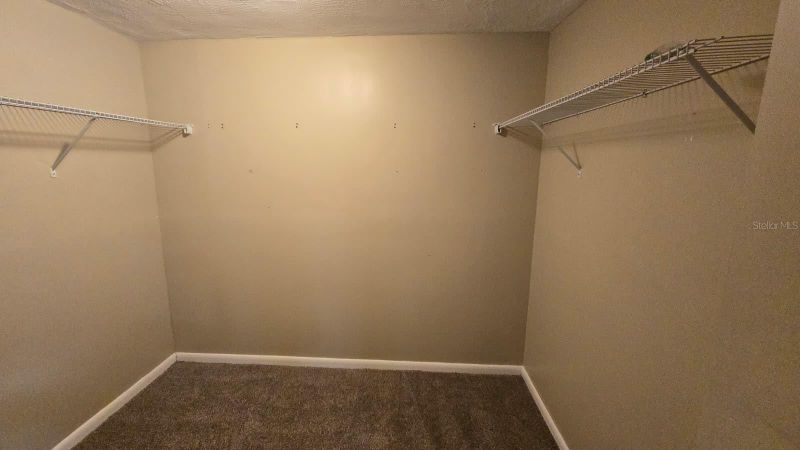 1381 Forest Lawn Ct, Tarpon Springs, FL 34689