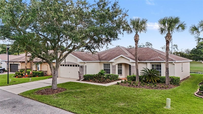 10223 Collar Dr, San Antonio, FL 33576