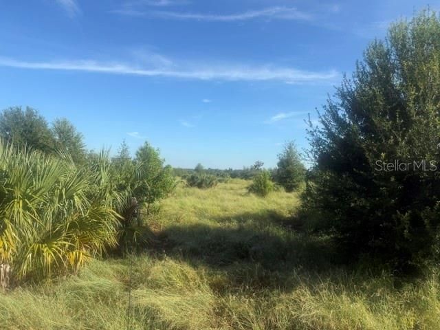 Welcome Rd Lot 2, Lithia, FL 33547