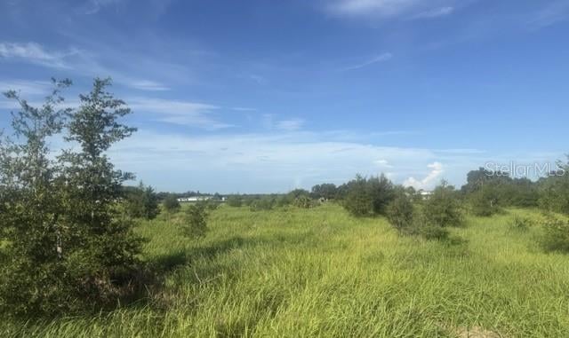 Walter Hunter Rd Lot 1, Lithia, FL 33547