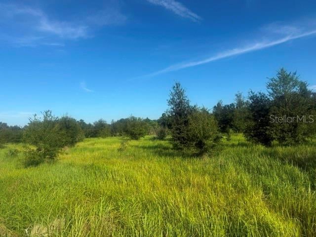 Walter Hunter Rd Lot 1, Lithia, FL 33547