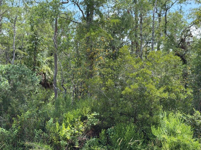 Tunbridge St, Orlando, FL 32833