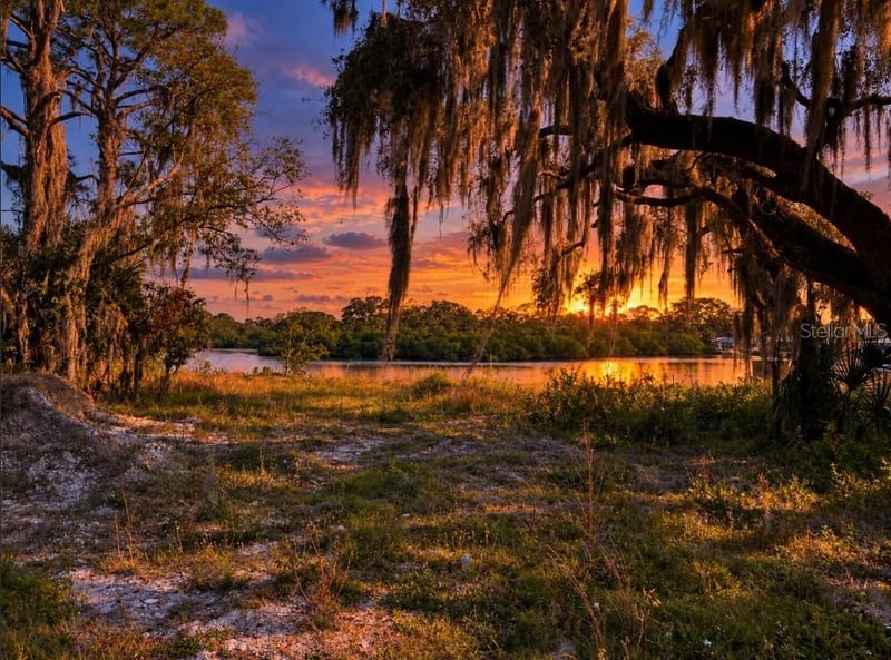 Tiberius Trl, New Port Richey, FL 34652