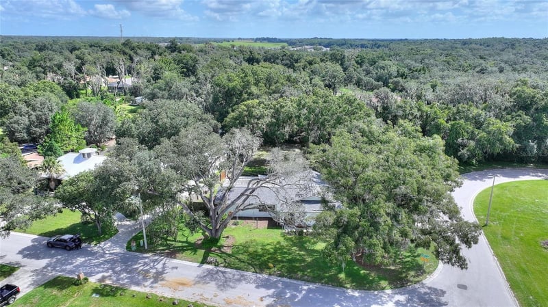 12201 Elsmere Ct, Thonotosassa, FL 33592