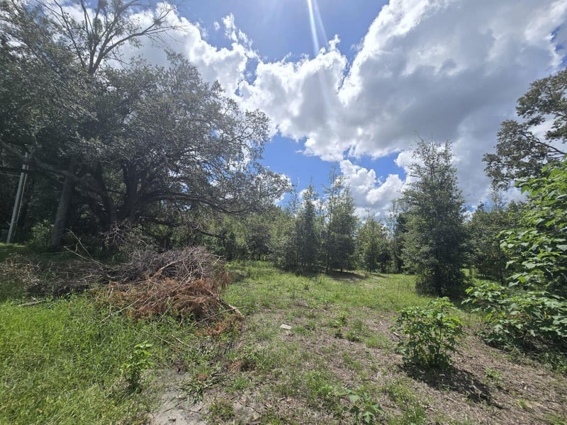 St Paul Dr, Spring Hill, FL 34610