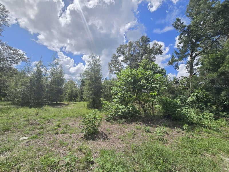 St Paul Dr, Spring Hill, FL 34610