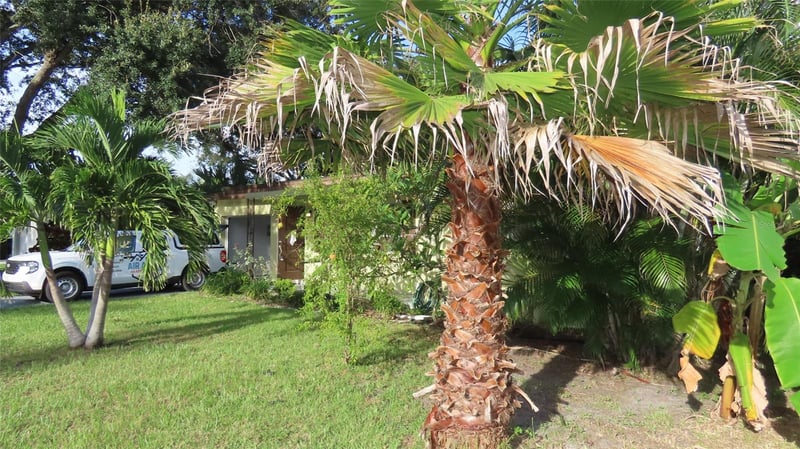 1841 West Dr, Clearwater, FL 33755