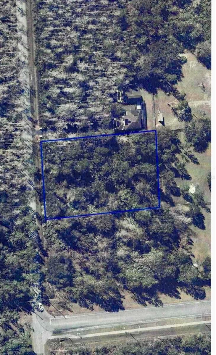 Starry St, Orlando, FL 32833